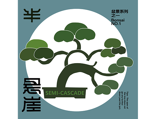 水平测试1—构图（盆景系列）