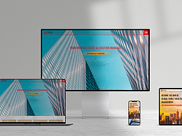 金融类官方网站 真实案例