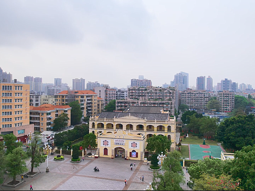 《大元帅府讲解员》