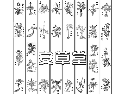 浮雕设计丨安国医药