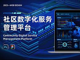 大屏可视化图