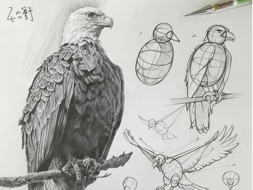 手绘素材作品