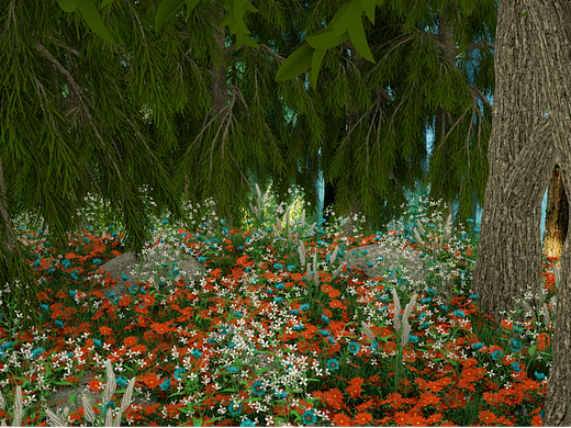 c4d