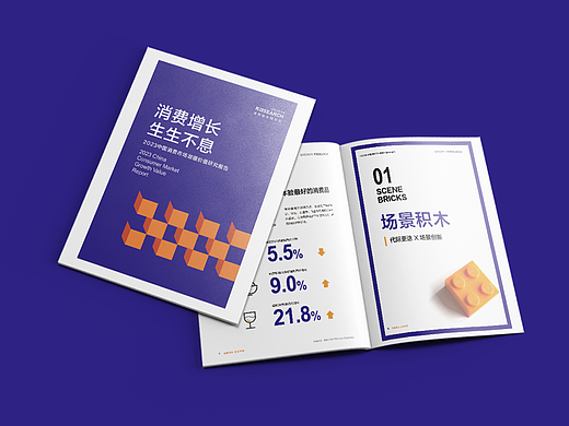 2023中国消费市场报告||我喜欢橘色的光