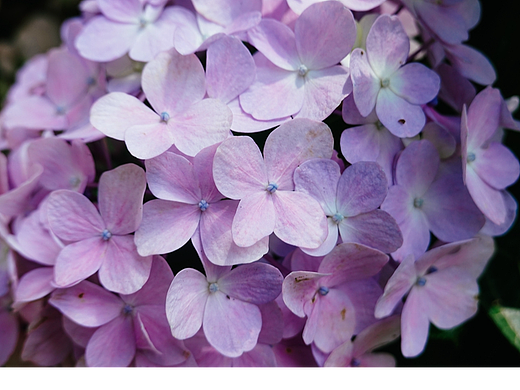 2022.5.29 东湖罗依依练习