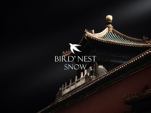Bird&#39;nest snow/燕窝公子 护肤品策划全案
