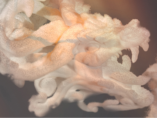 王座（个人主页-ZNjc3NDk5MDA=） - 人文/纪实摄影 - 站酷设计师整只橙原创素材 - 站酷ZCOOL