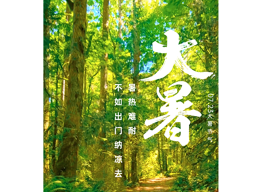《大暑》动态海报