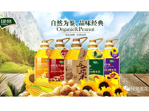 中国好粮油丨为品质生活而来，匠心缔造“真香”好油