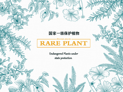 国家濒危保护物种——植物篇