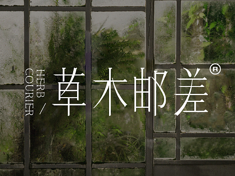 养生茶设计|草木元素构建养生美学