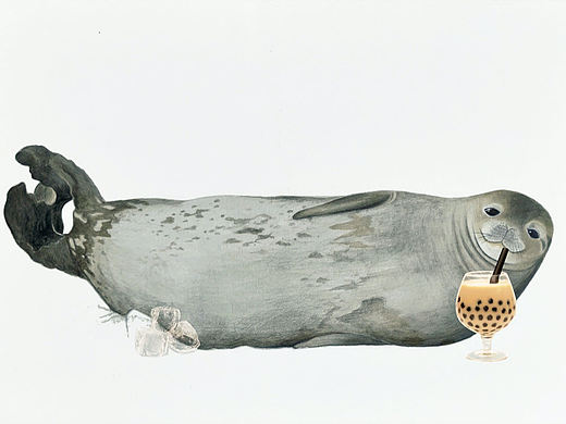 一只大可愛-海獅（個人主頁-ZNjIxNzYzODg=） - 創(chuàng)作習(xí)作 - 站酷設(shè)計師養(yǎng)樂哆原創(chuàng)素材 - 站酷ZCOOL