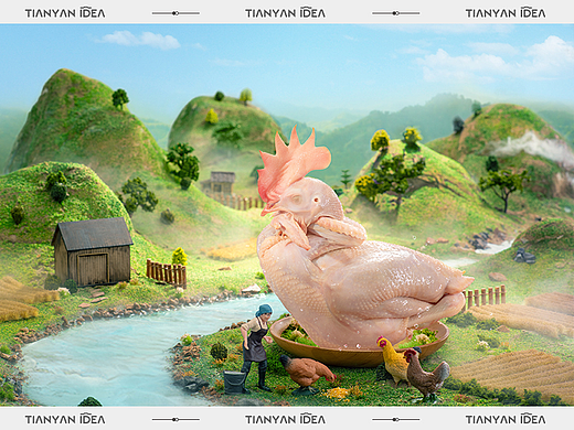 德州扒鸡-生态养殖篇