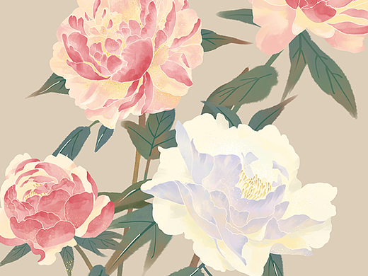 芍药