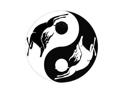 艺术的回忆