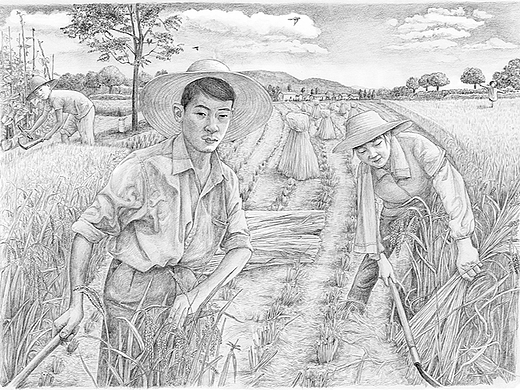 书籍插画 秋收