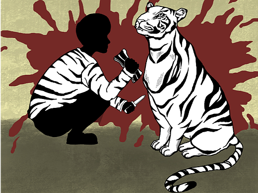 保护野生动物（个人主页-ZNjI1Mzk4MzI=） - 海报 - 站酷设计师蒸小米xiom原创素材 - 站酷ZCOOL