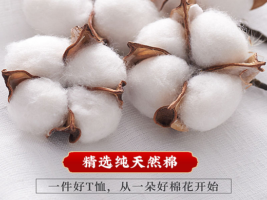 服裝T恤定制-詳情頁（個人主頁-ZNjU0NDk2NDg=） - 電商 - 站酷設(shè)計師YE200原創(chuàng)素材 - 站酷ZCOOL