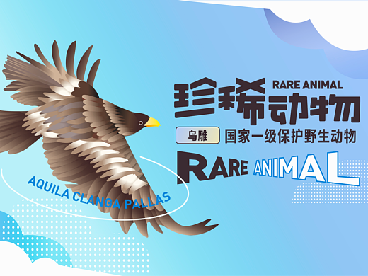 珍稀动物