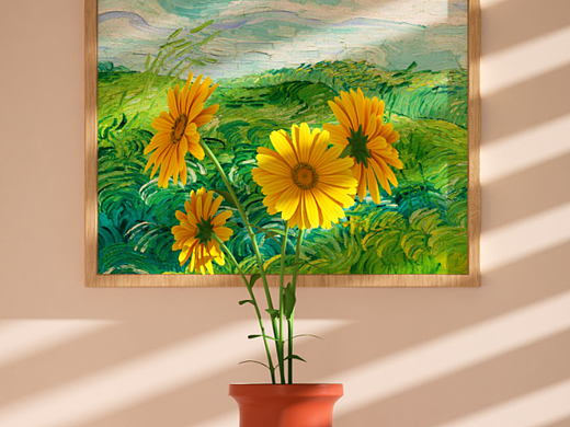 临摹动画（光影静物）（软件：C4D+OC+PR）