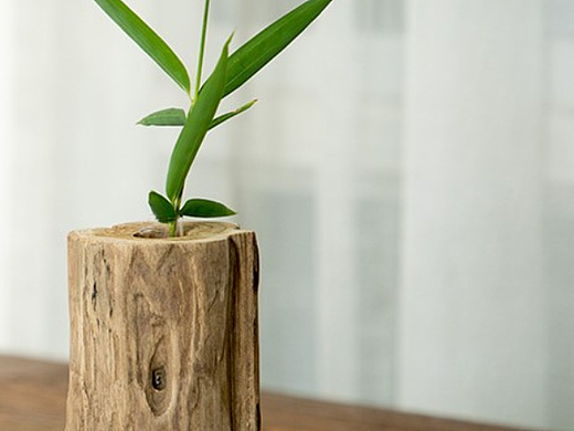 實(shí)木干花花瓶（個(gè)人主頁-ZNjM0MjA2ODQ=） - 產(chǎn)品 - 站酷設(shè)計(jì)師金色麥浪000原創(chuàng)素材 - 站酷ZCOOL