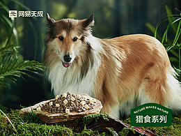 网易天成视觉全案