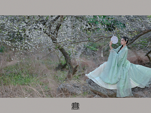 花开花落自有时，人来人往任由之