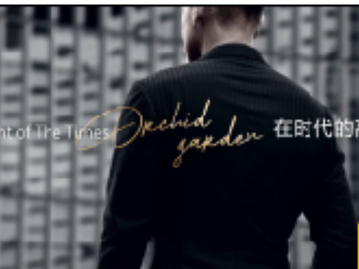提报