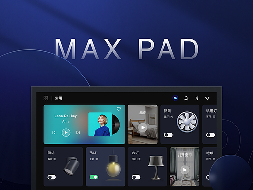 MAX PAD
