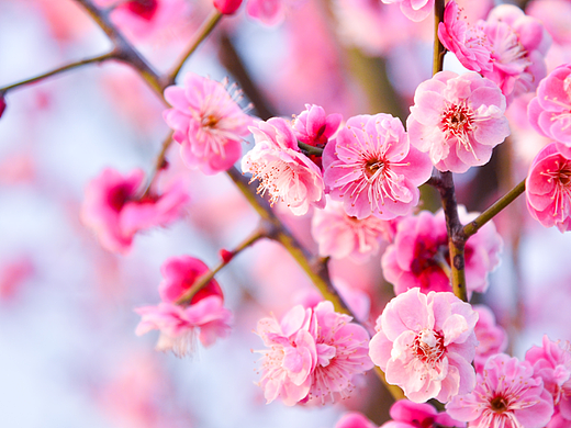 陕西汉中  天汉湿地公园