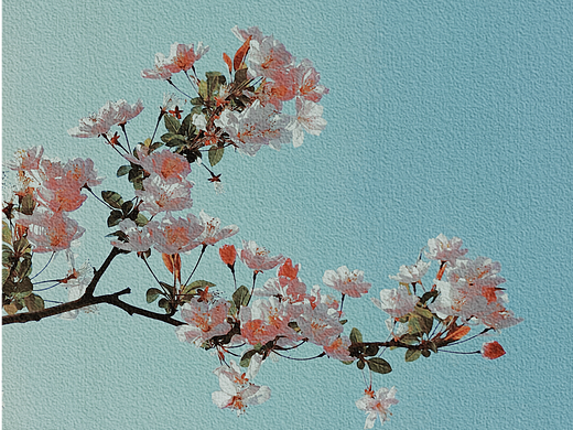 花花世界