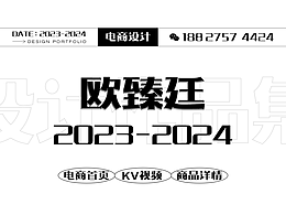 《2023欧臻廷工作回顾-2》