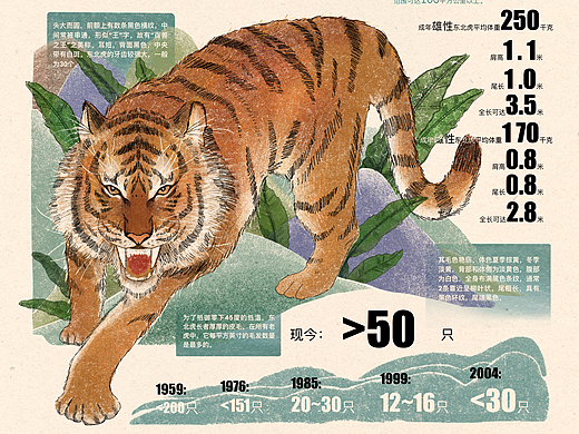 东北虎豹国家公园信息可视化