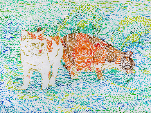 1000只流浪猫第N弹