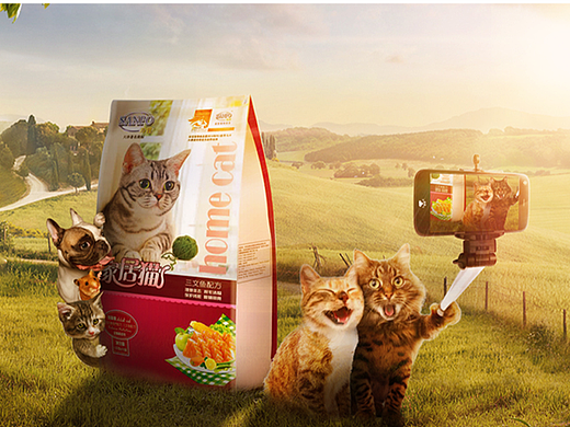 猫粮合成创意电商合成海报