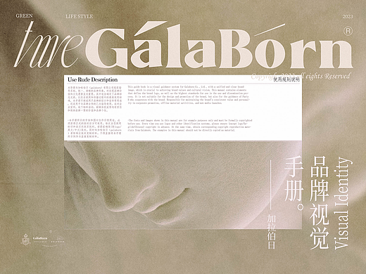 1.基础部分 |GALABORN品牌识别手册