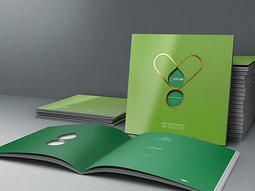 长沙画册设计-益丰集团