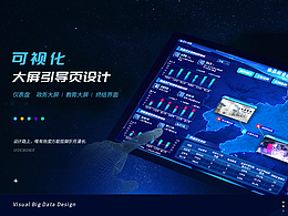 项目复盘整理-13 可视化
