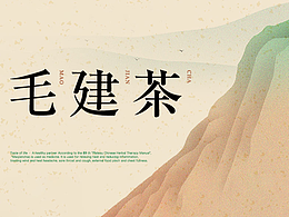 毛建茶-包装设计