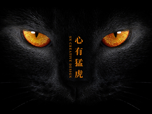 黑色猫咪心有猛虎海报