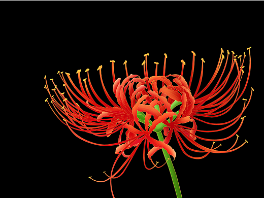 2023年插畫臨?。▊€人主頁-ZNjc0NzAxMzY=） - 藝術(shù)插畫 - 站酷設(shè)計師是珍兮吖原創(chuàng)素材 - 站酷ZCOOL