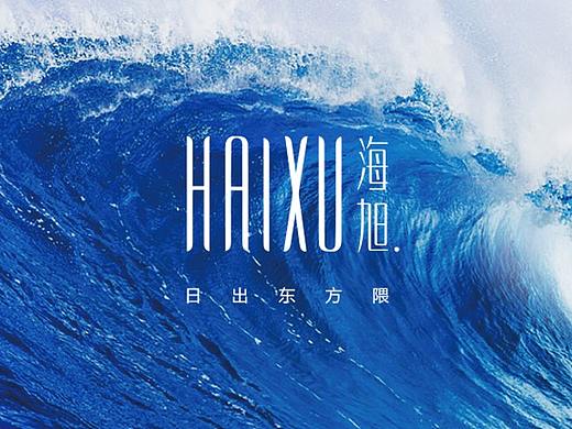 品牌Logo-海旭 方案1