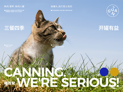 格吾安宠物罐头品牌及包装设计