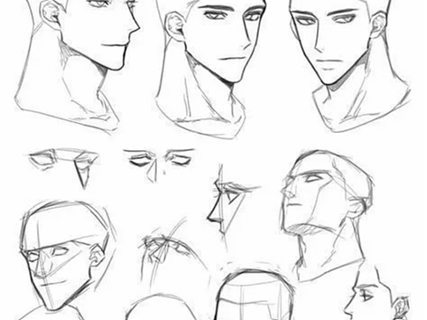 【绘画素材】头部转角练习，绘制侧脸的画法诀窍！