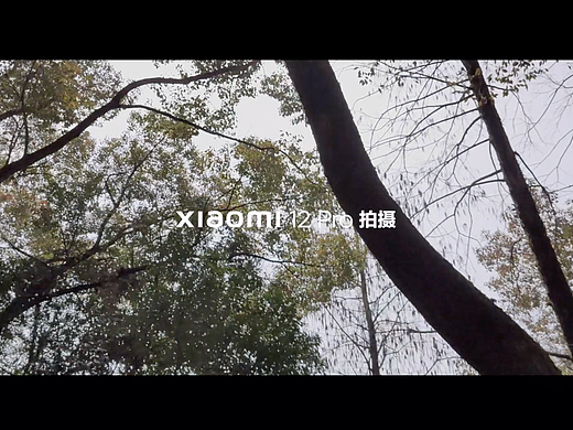 2022武大樱花（个人主页-ZNTkwODQyNTI=） - 短片 - 站酷设计师一块碗布原创素材 - 站酷ZCOOL