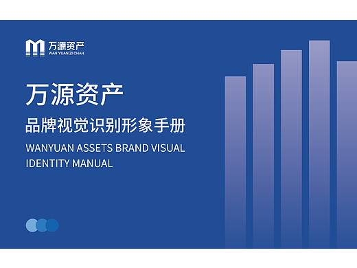 万源资产VIS手册