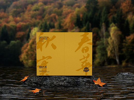 春华秋实茶叶礼盒包装设计
