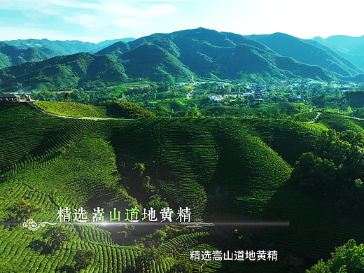 郑州产品广告片制作丨太室本草黄精茶产品片