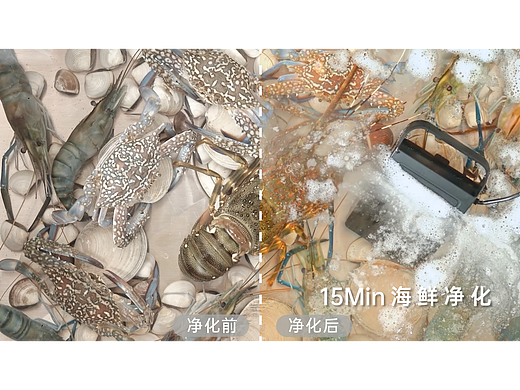 Westinghouse丨西屋果蔬净化机丨电商视频