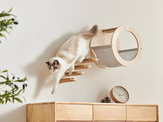 家居｜猫爬架×元素工场